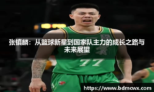 张镇麟：从篮球新星到国家队主力的成长之路与未来展望