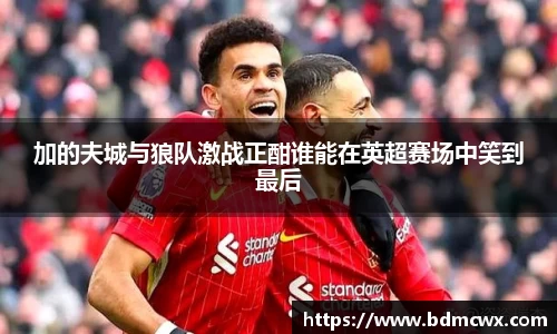 加的夫城与狼队激战正酣谁能在英超赛场中笑到最后